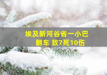 埃及新河谷省一小巴翻车 致7死10伤